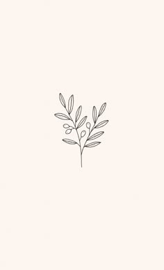 Olive spring drawing botanical illustration by Ryn Frank www.rynfrank.co.uk Olive Flower Drawing, Olive Branch Wallpaper Iphone, Olive Branch Doodle, Olive Tree Simple Drawing, Olive Branch Art Simple, Olive Tattoo Small Simple, Olive Tree Line Art, Biblical Plant Tattoos, Olive Plant Illustration