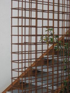 a plant is growing on top of some stairs