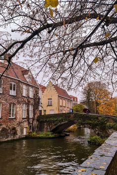 At the end of the year, the picturesque town of Bruges transforms into a winter wonderland. In this blog post, we're sharing everything you need to know about visiting the Christmas Market in Bruges, Belgium. Bruges Belgium Winter, Belgium In Winter, Christmas Moodboard, Europe Christmas, Travel Mood, Europe 2024, Christmas In Europe