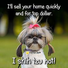 a small dog with a pink bow on it's head and the words i sell your home quickly and for top dollar