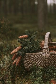 a wicker basket filled with pine cones in the middle of some grass and trees