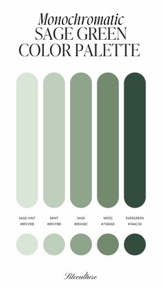 Cool Greens Palette, Sage Green Shades Colour Palettes, Color Palette Of Green, Colors Green Palette, Colors That Look Good With Sage Green, Green Paint Room Ideas Bedroom, Green Scheme Colour Palettes, Colour Green Palette, Green Color For Bedroom