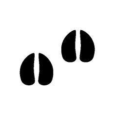 two black footprints on a white background