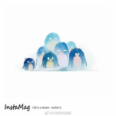 a group of penguins standing next to each other on a white background with the words instagram life is a dream - related it