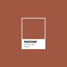 pantone's color is shown in this image, with the text pantone on it