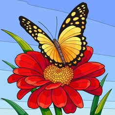 a butterfly sitting on top of a red flower