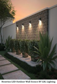 a row of planters sitting next to a wall with lights on it's sides