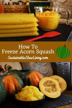 Acorn squash freezes really well. And it's great to have it on hand, in the winter months, to make your favorite winter squash dishes. Preserving Acorn Squash, Freezing Acorn Squash, Freeze Acorn Squash, How To Freeze Squash, Freezing Squash, February Vision Board, Squash Dishes, Preserving Vegetables, Squash Puree