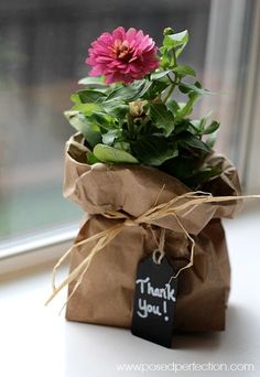 a flower in a paper bag with a thank you tag attached to it, sitting on a window sill