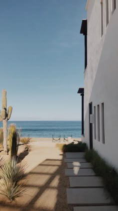 an empty walkway leading to the beach with cactus trees and water in the back ground