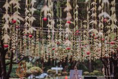 the flowers are hanging down from the ceiling in the garden, and it looks like they have long stems attached to them