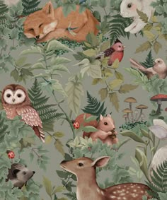 an animal themed wallpaper with many different animals and plants on it's surface