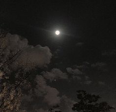 the full moon shines brightly in the night sky above some trees and clouds on a cloudy day