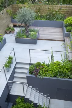 an aerial view of a garden with stairs leading up to the top floor and plants growing on the sides