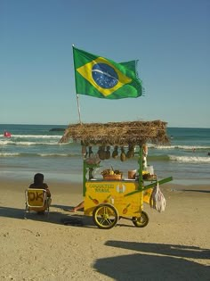 a man sitting in a cart on the beach with a flag flying above him and another person standing next to it