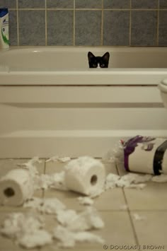 toilet paper is on the floor next to a roll of toilet paper in front of a bathtub