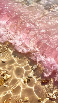 pink water and rocks on the beach