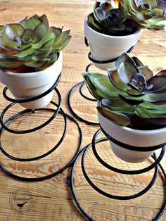 three white pots with succulents are sitting on black metal rings and stand