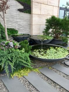 an outdoor garden with water and plants in the center, surrounded by stone steps leading up to a building