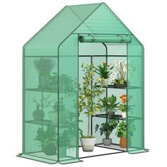 a green house with potted plants in it