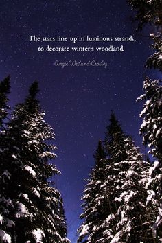 the stars line up in luminous strands, to decorate winter's woodland quote