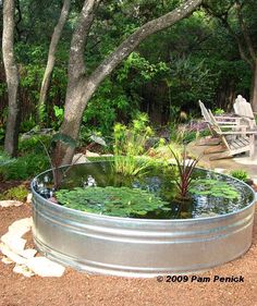 a large metal tub filled with water surrounded by lush green plants and trees in the background