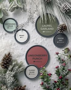 some pine cones and other plants on a white surface with labels for different types of trees