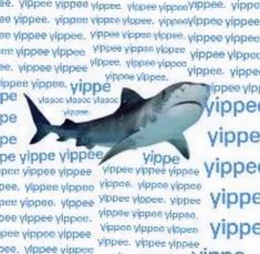 an image of a shark with words all around it that say, wiper wipers