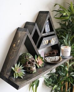 a shelf with plants, candles and other items on it next to a potted plant