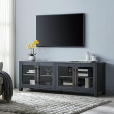 a living room scene with focus on the entertainment center and large screen tv above it