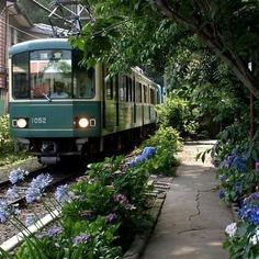 a green train traveling through a lush green forest filled with lots of trees and flowers