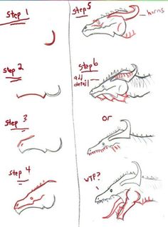 how to draw an alligator's head with different angles and sizes for each animal