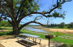 a picnic table under a tree next to a river