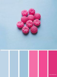 pink and blue color scheme with raspberries on the top, bottom left corner