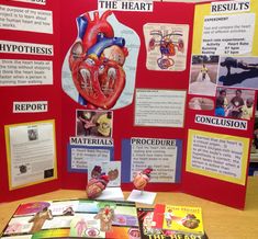 a display with posters about the heart and other health care related items on top of it