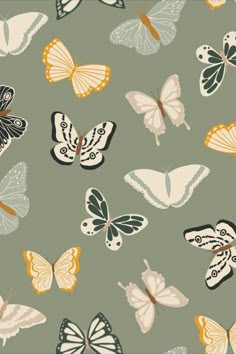 many different butterflies on a green background