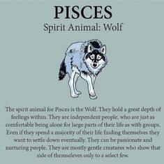 a poem with an image of a wolf and the words, spirit animal wolf on it