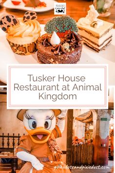 Animal Kingdom has a variety of restaurants available to families. But there are only a few across all of Walt Disney World that allows you to see Mickey and Friends. Better yet, they’re in safari gear! This buffet restaurant offers breakfast, lunch and dinner, at a decent price. Here is our take on what Tusker House Offers and if it’s a good option for your next Walt Disney World Vacation. Disney Character Dining, Disney Drinks, Spit Roast, Disney On A Budget, Spiced Beef, Buffet Restaurant