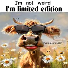 a cow with sunglasses on it's head and the words i'm not weird, i'm limited edition