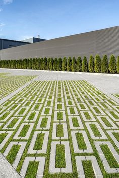 the grass has been cut into squares and lines