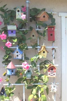 several birdhouses are hanging on a wall with flowers and plants growing up the side