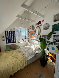 a bed sitting under a window next to a plant in a room with lots of pictures on the wall