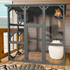 a cat sitting on top of a cage in the middle of a room next to a rug