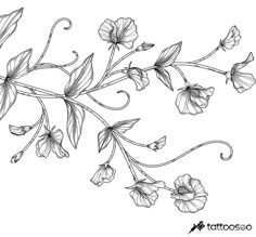 a drawing of flowers on a white background