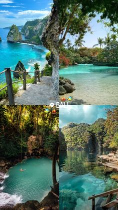 an image of the beach and water from different places in the world, with trees on both sides