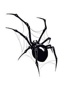 a black and white drawing of a spider