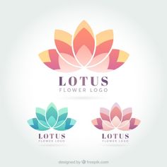 the lotus flower logo has four different colors