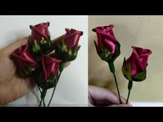 two pictures side by side, one with pink roses and the other with green leaves