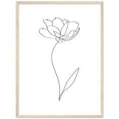 a black and white drawing of a single flower on a white background, framed in a wooden frame