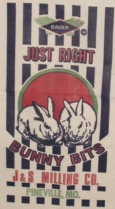 a white t - shirt with two bunnies on it's chest and the words just right bunny bits